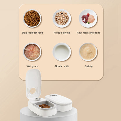 Automatic Pet Feeder Smart Food Dispenser For Cats And Dogs