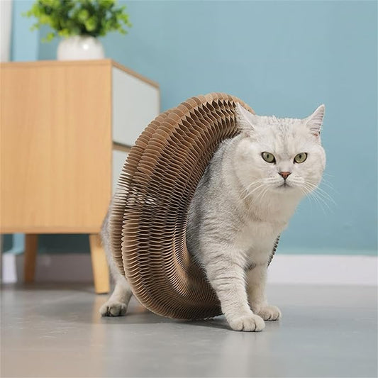 Foldable Cat Scratcher with Bell & Catnip - Multi-Level Cardboard Toy for Kittens, Durable Claw Sharpener